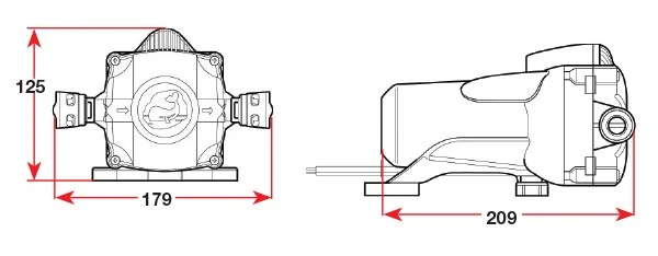 Whale Watermaster Automatic Pressure Pump 12L/min 45PSI
